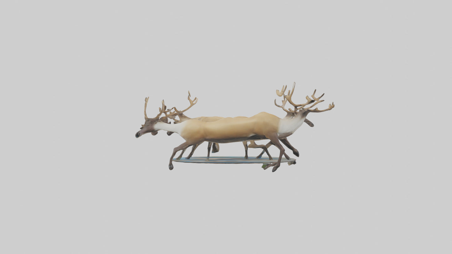 3D model Caribou migrating model VR / AR / low-poly