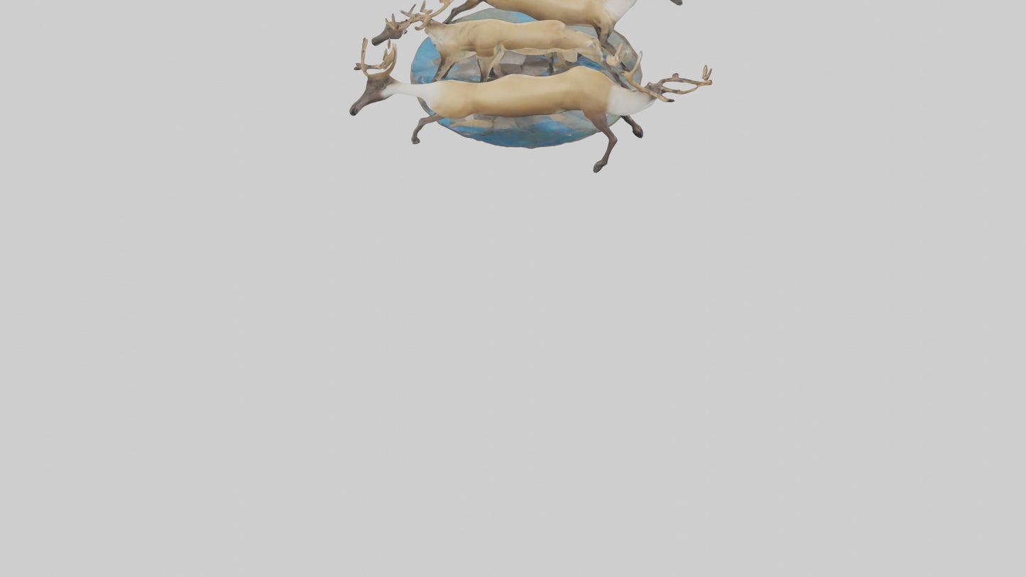 3D model Caribou migrating model VR / AR / low-poly