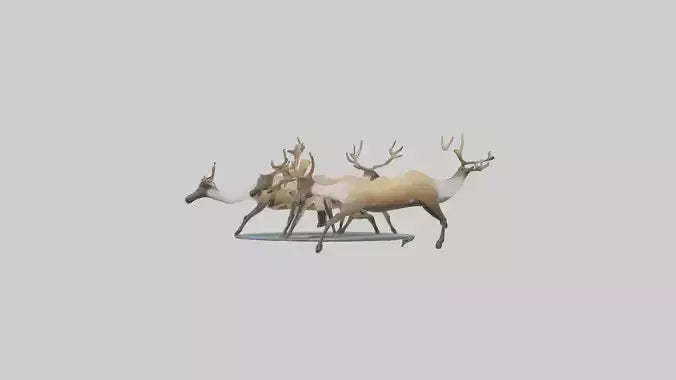 3D model Caribou migrating model VR / AR / low-poly