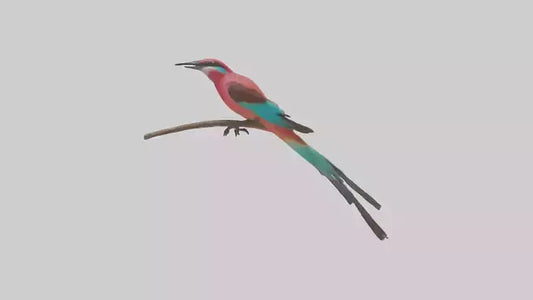 Carmine Beeeater perched model VR / AR / low-poly