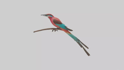 Carmine Beeeater perched model VR / AR / low-poly