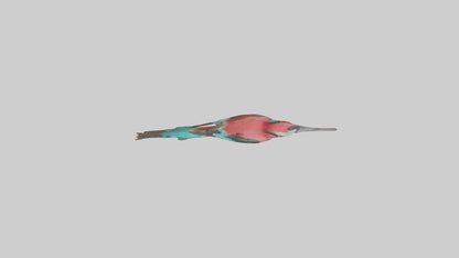 Carmine Beeeater perched model VR / AR / low-poly