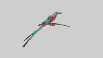 Carmine Beeeater perched model VR / AR / low-poly