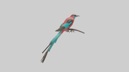 Carmine Beeeater perched model VR / AR / low-poly