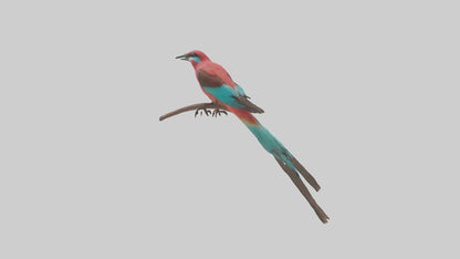 Carmine Beeeater perched model VR / AR / low-poly