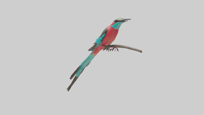 Carmine Beeeater perched model VR / AR / low-poly