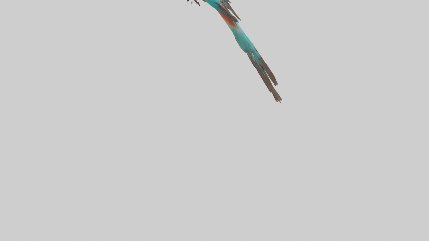 Carmine Beeeater perched model VR / AR / low-poly