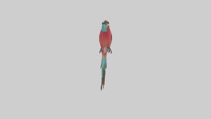 Carmine Beeeater perched model VR / AR / low-poly