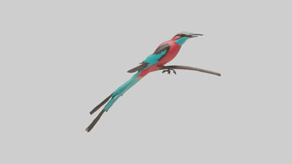Carmine Beeeater perched model VR / AR / low-poly