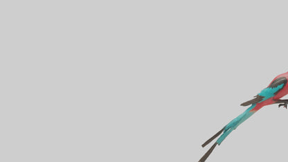 Carmine Beeeater perched model VR / AR / low-poly