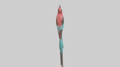 Carmine Beeeater perched model VR / AR / low-poly