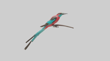 Carmine Beeeater perched model VR / AR / low-poly