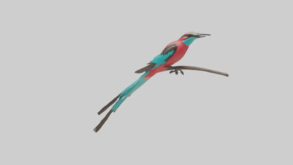 Carmine Beeeater perched model VR / AR / low-poly