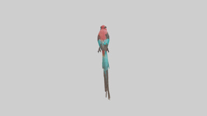 Carmine Beeeater perched model VR / AR / low-poly