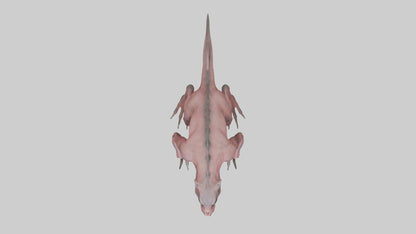 3D model Carnivorous Beast model VR / AR / low-poly