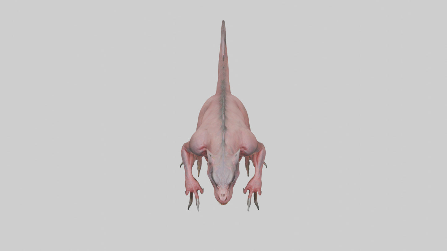 3D model Carnivorous Beast model VR / AR / low-poly