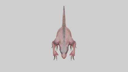 3D model Carnivorous Beast model VR / AR / low-poly
