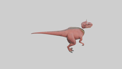 3D model Carnotaurus model VR / AR / low-poly