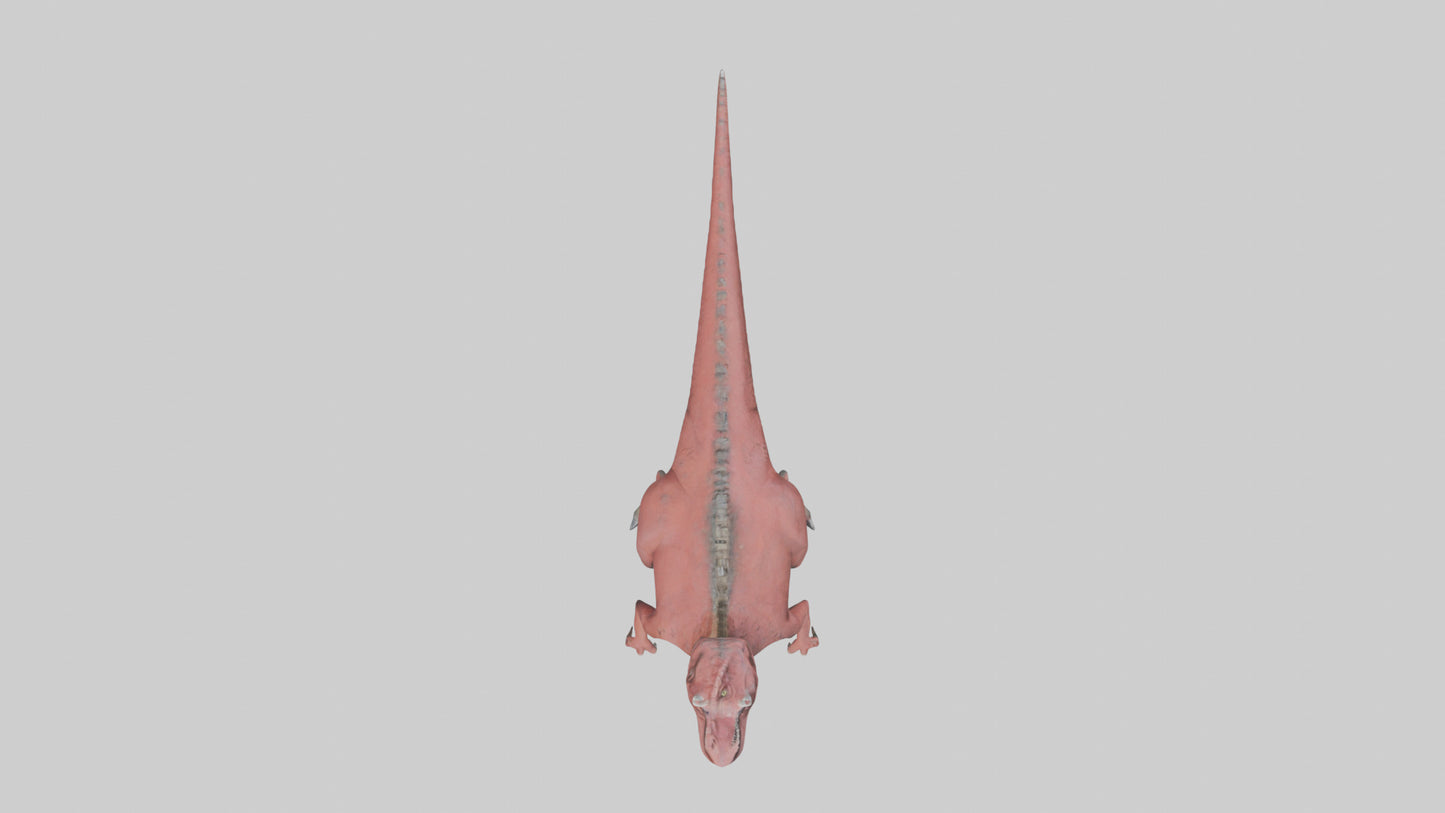 3D model Carnotaurus model VR / AR / low-poly