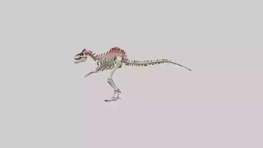 3D model Carnotaurus Skeleton model VR / AR / low-poly