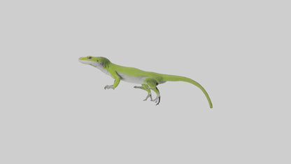 Carolina Anole climbing model VR / AR / low-poly