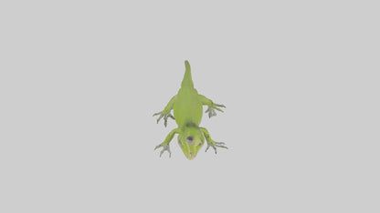Carolina Anole climbing model VR / AR / low-poly