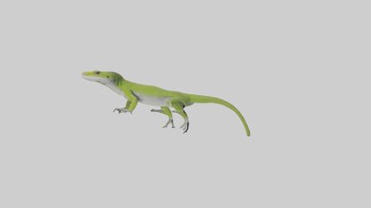 Carolina Anole climbing model VR / AR / low-poly