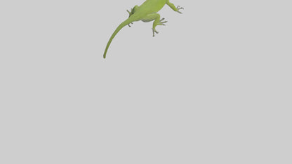 Carolina Anole climbing model VR / AR / low-poly