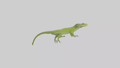 Carolina Anole climbing model VR / AR / low-poly