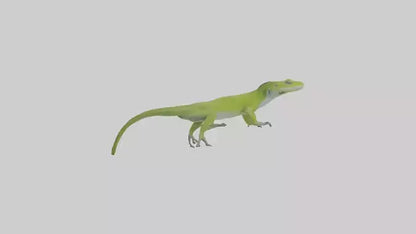 Carolina Anole climbing model VR / AR / low-poly