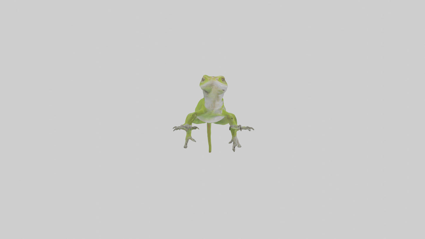 Carolina Anole climbing model VR / AR / low-poly