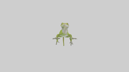 Carolina Anole climbing model VR / AR / low-poly