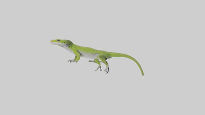 Carolina Anole climbing model VR / AR / low-poly