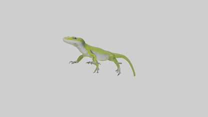 Carolina Anole climbing model VR / AR / low-poly