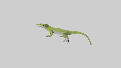 Carolina Anole climbing model VR / AR / low-poly