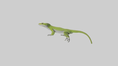 Carolina Anole climbing model VR / AR / low-poly