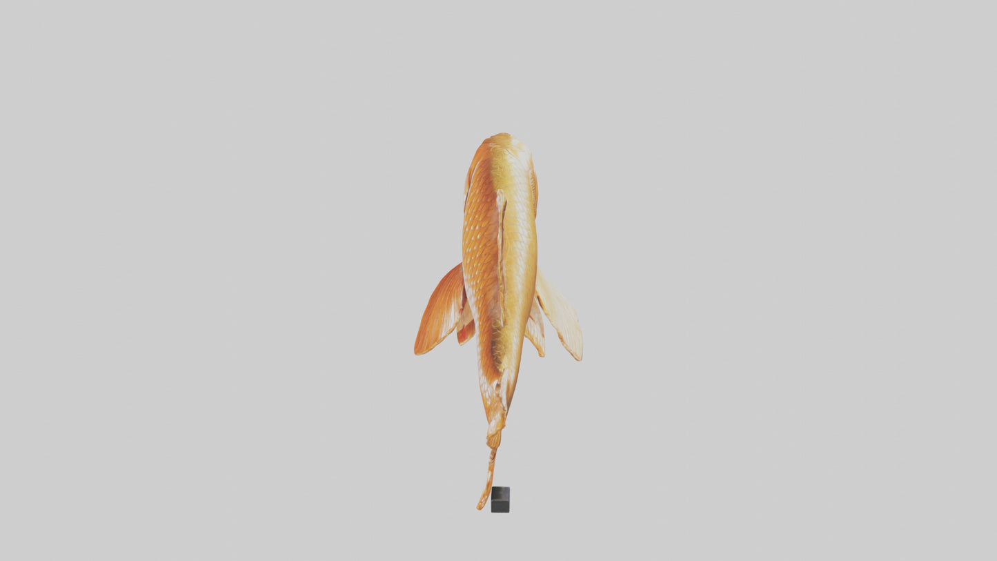 3D model Carp statue model VR / AR / low-poly