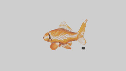 3D model Carp statue model VR / AR / low-poly
