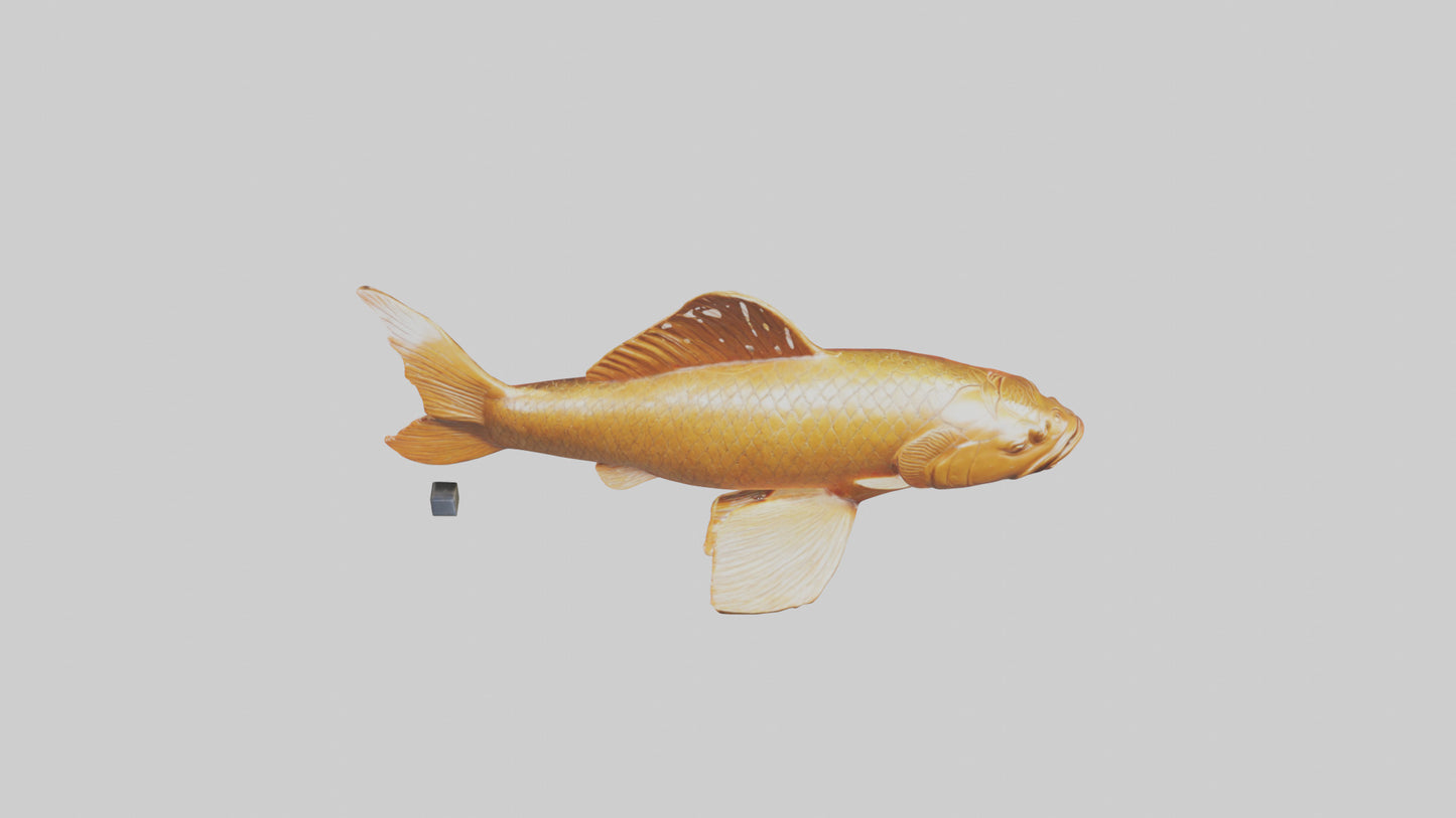 3D model Carp statue model VR / AR / low-poly