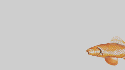 3D model Carp statue model VR / AR / low-poly