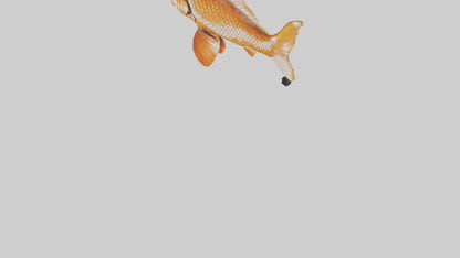 3D model Carp statue model VR / AR / low-poly