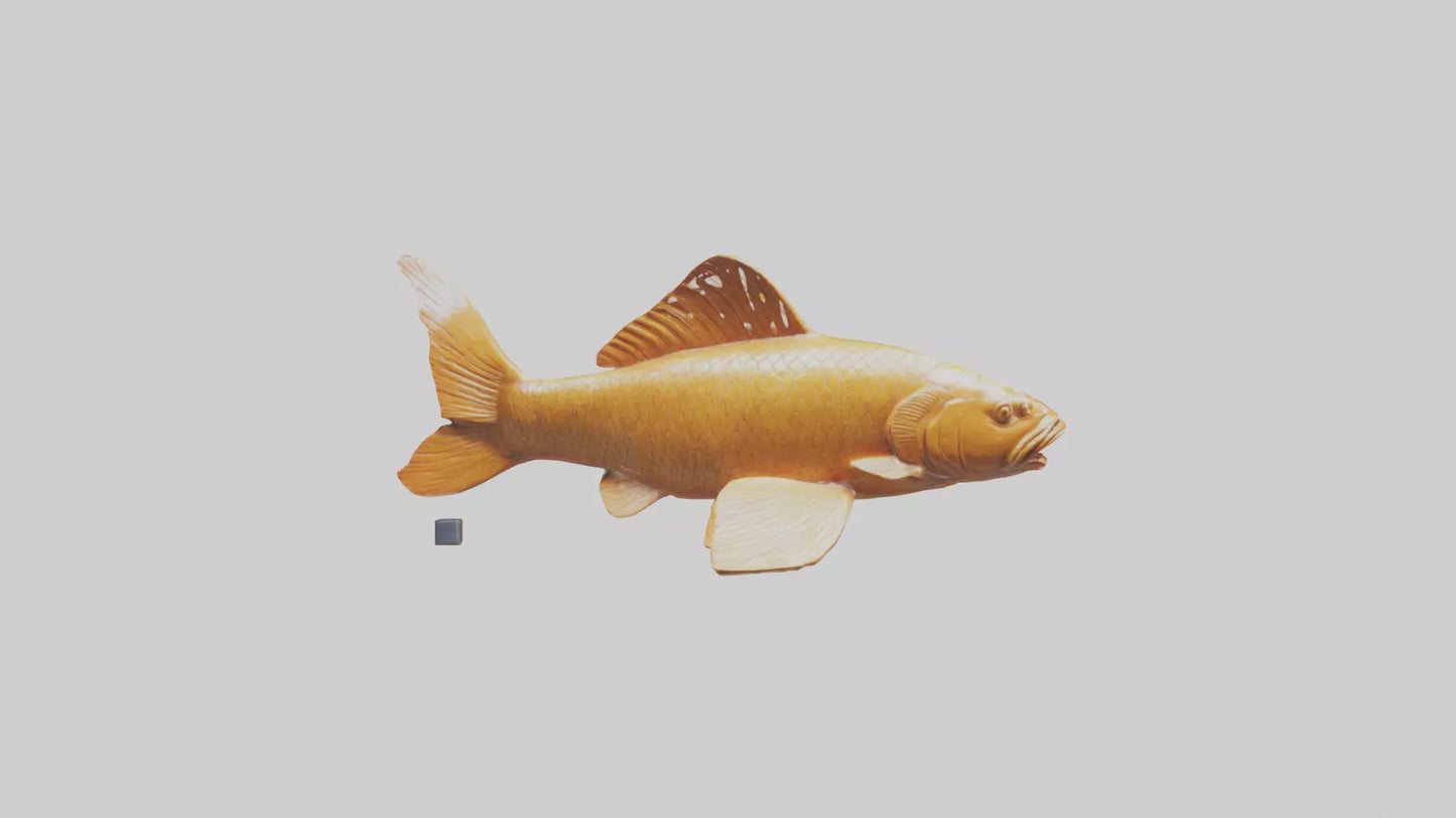 3D model Carp statue model VR / AR / low-poly