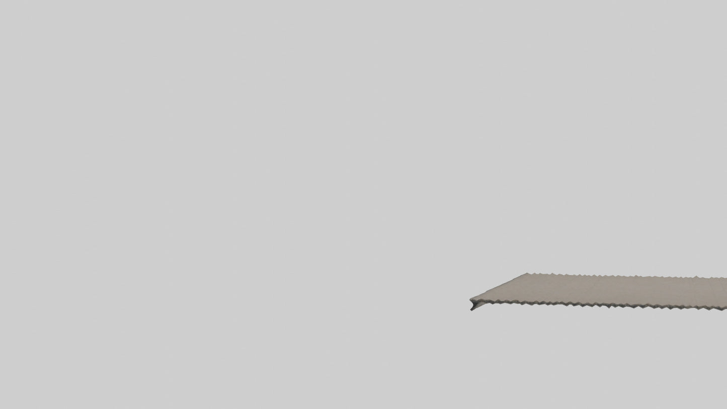 3D model Carpet model VR / AR / low-poly