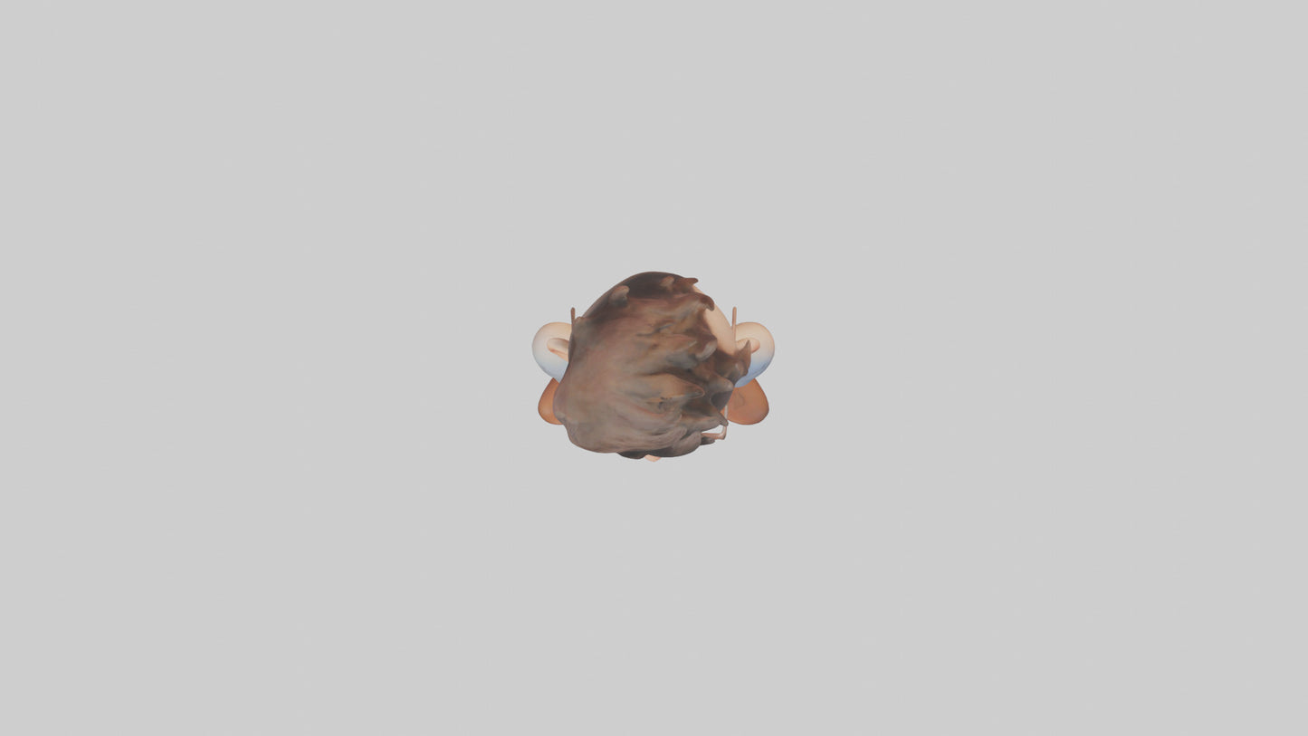 Cartoon Actor model 3D model