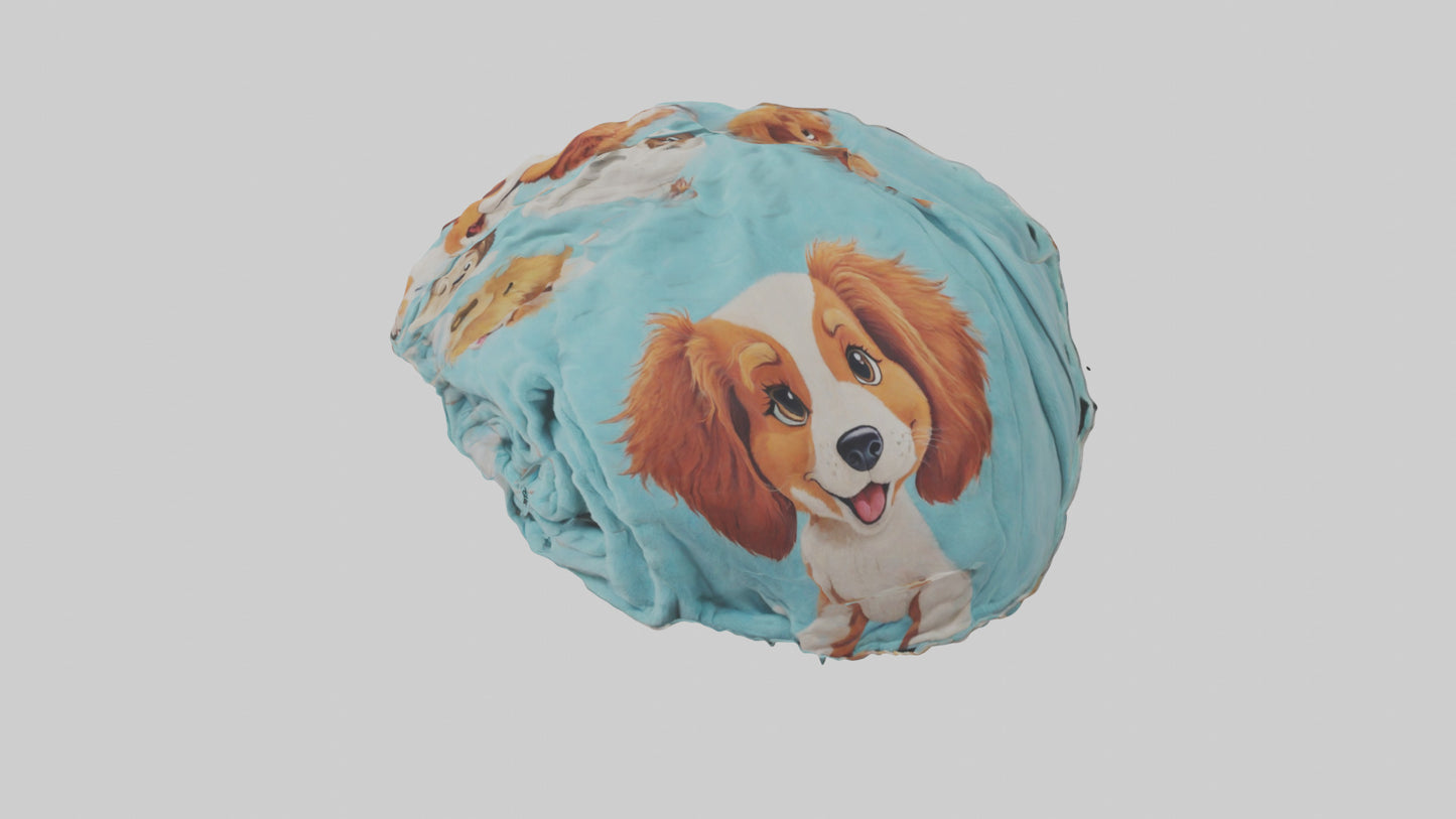 Cartoon Blanket model 3D model