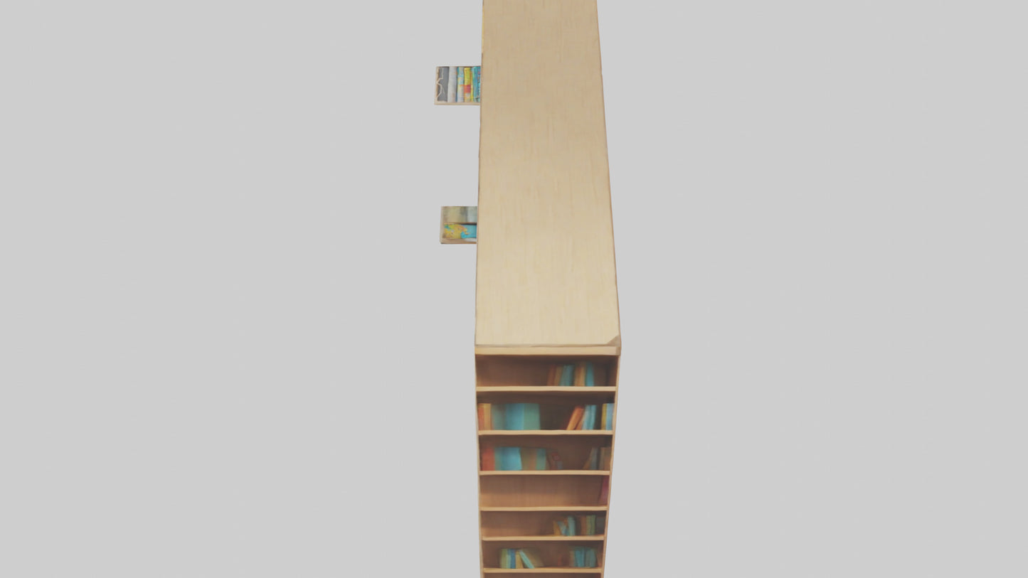 Cartoon Bookshelf model 3D model
