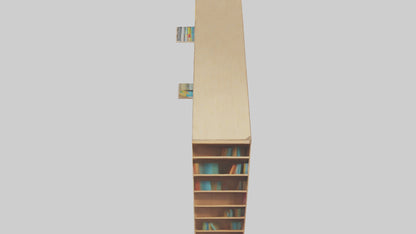 Cartoon Bookshelf model 3D model