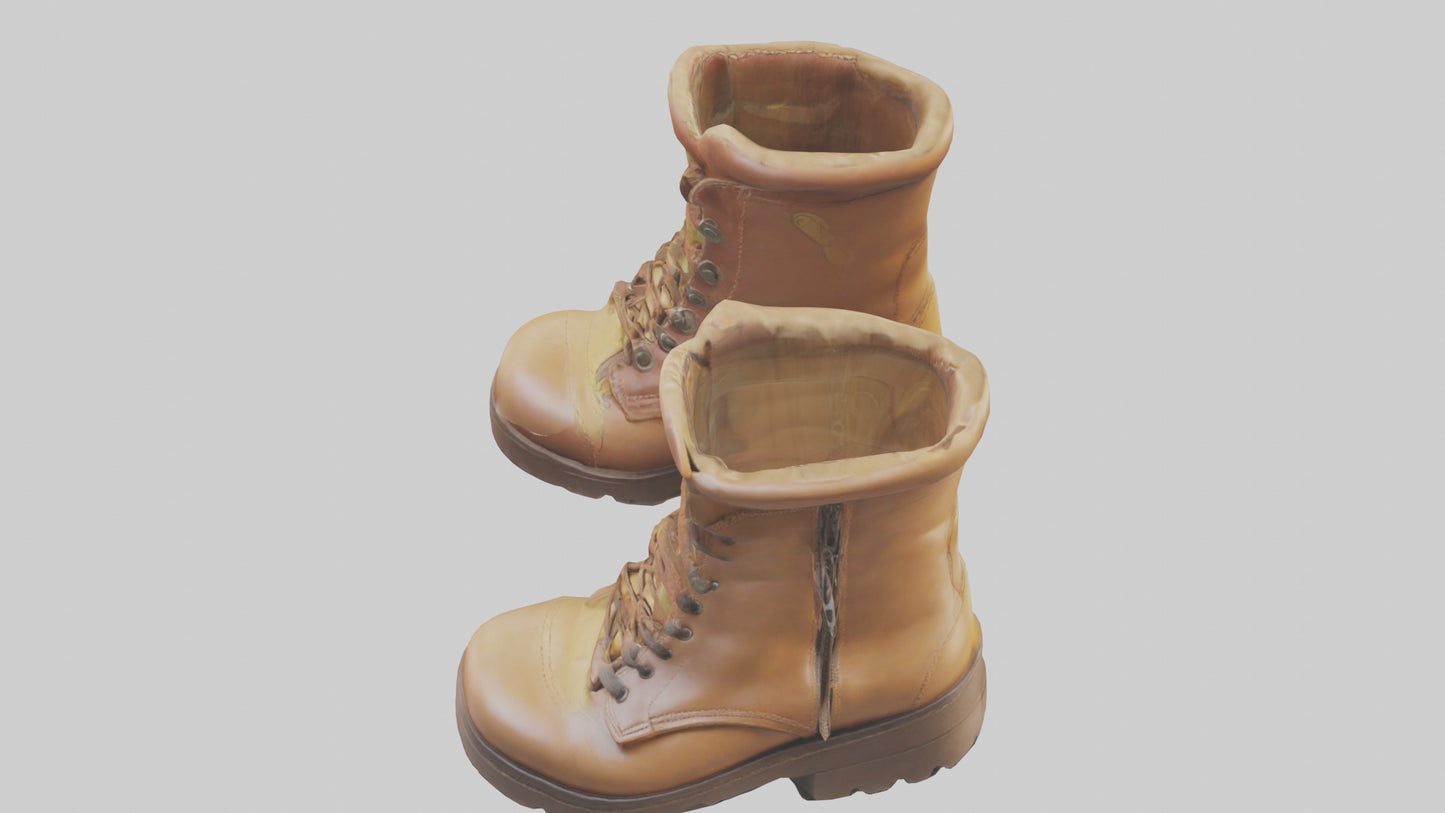 Cartoon Boots model 3D model