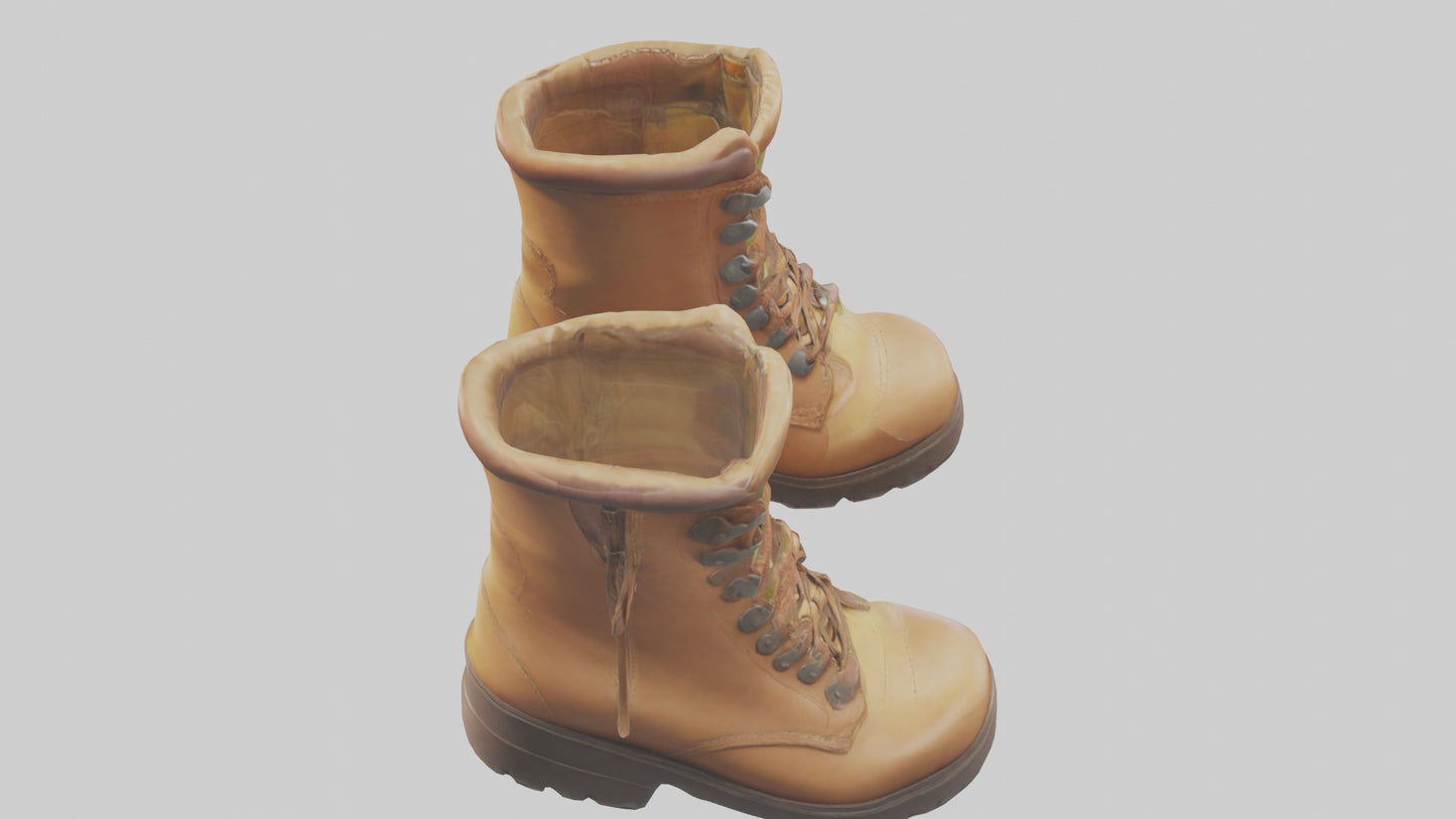 Cartoon Boots model 3D model