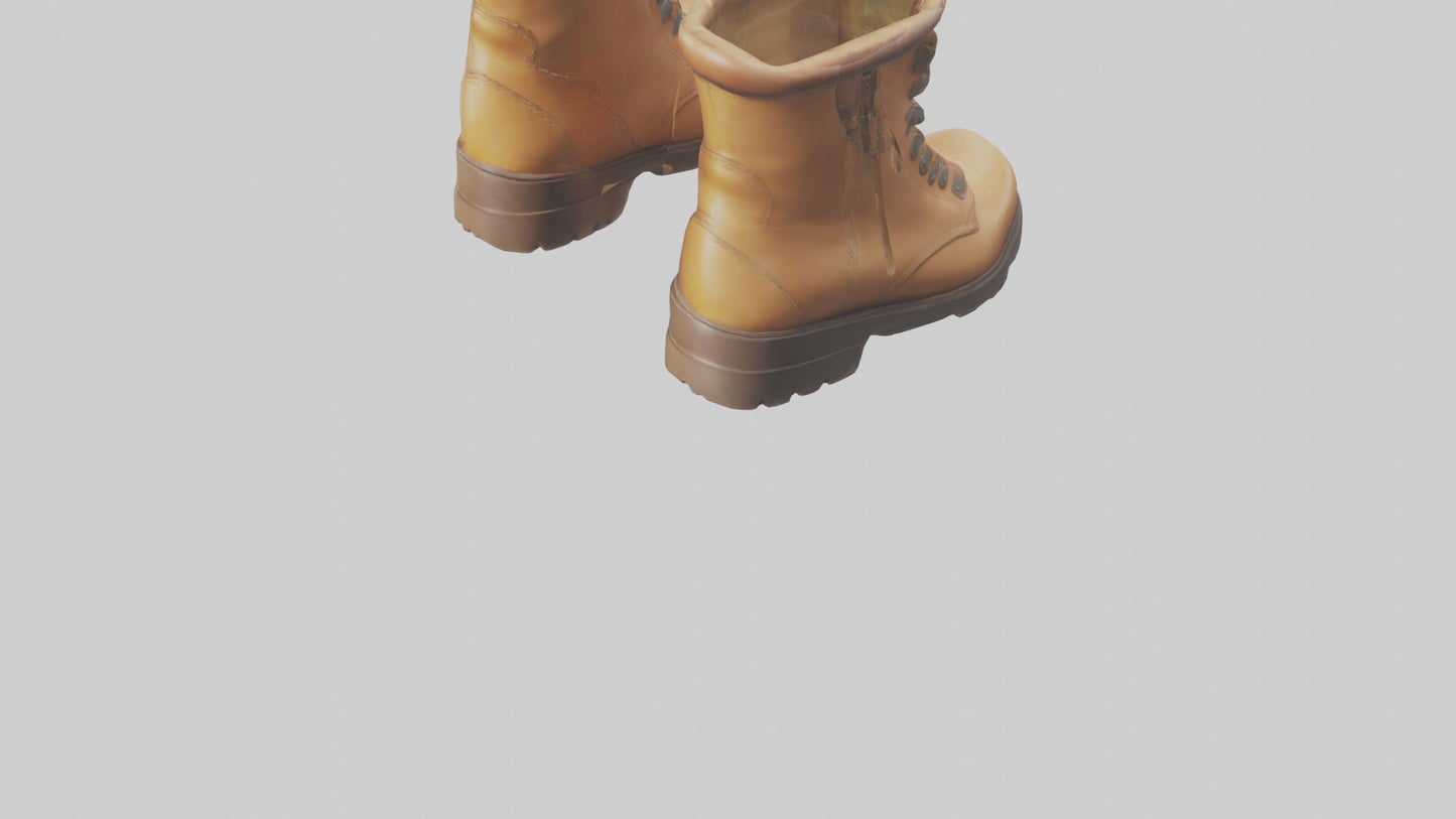 Cartoon Boots model 3D model